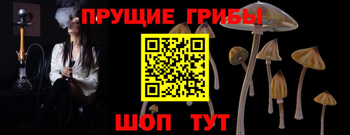 Псилоцибиновые грибы прущие грибы  Галлюциногенные грибы GOLDEN TEACHER  Моршанск  Вход с VPN 